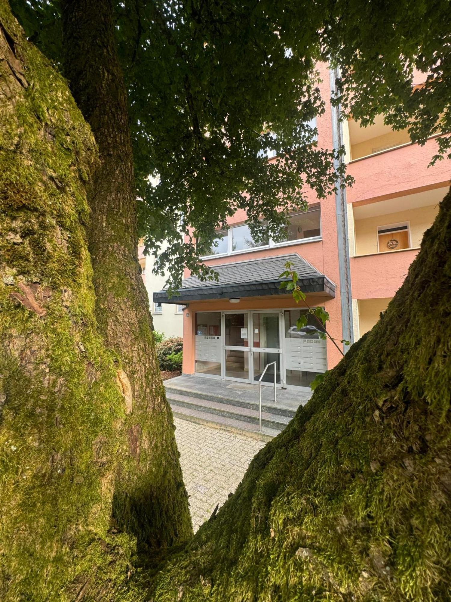Ferienwohnung Brilon - Willingen エクステリア 写真